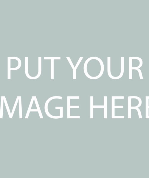 put-your-image2 put-your-image2